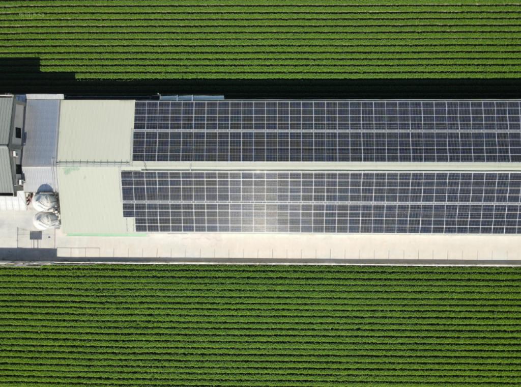 powerplant-img
