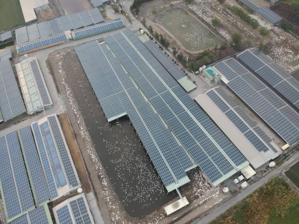 powerplant-img