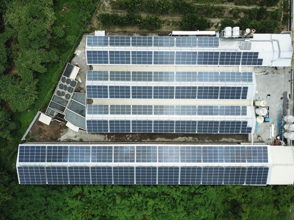 powerplant-img