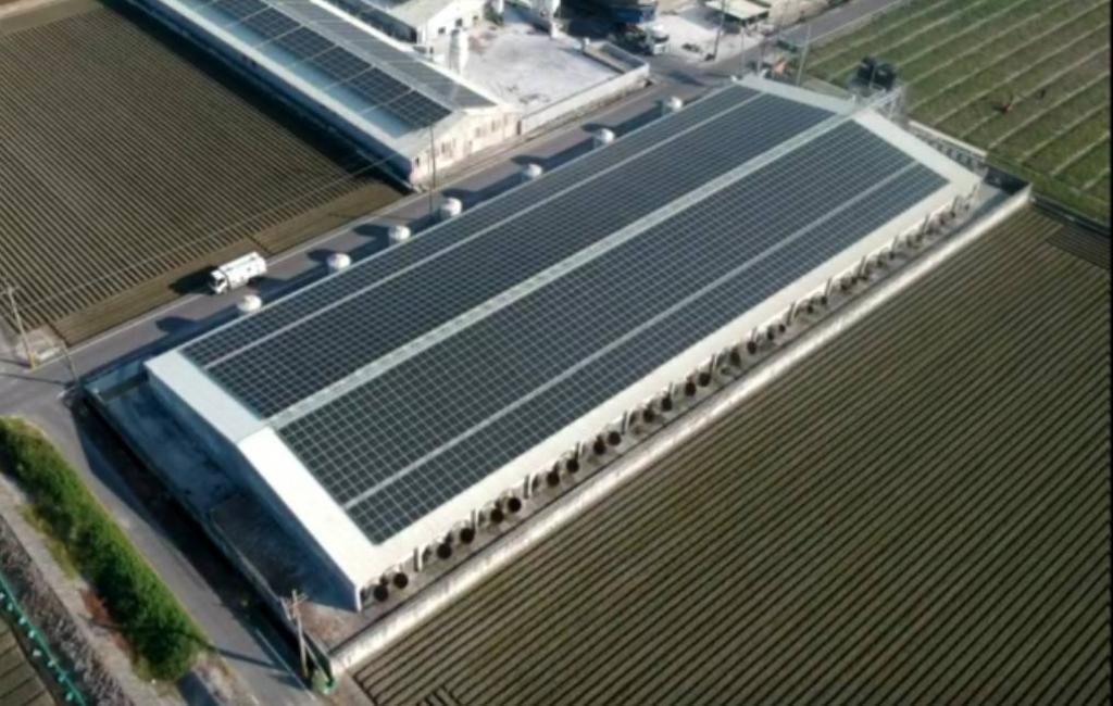 powerplant-img